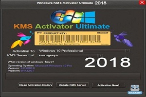 kms office 2010 professional plus activator