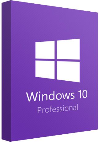 windows 10 professional download