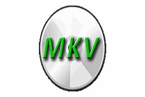 makemkv registration code feb 2017