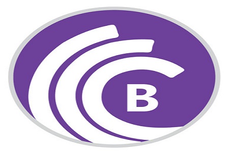 BitTorrent Pro Crack 7.10.5 Build 46011 with Activation Key [Latest]