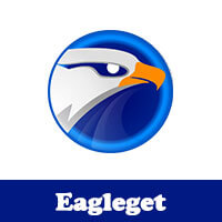 EagleGet 2.1.6.80 Crack With Serial Key [Full Version] 2022